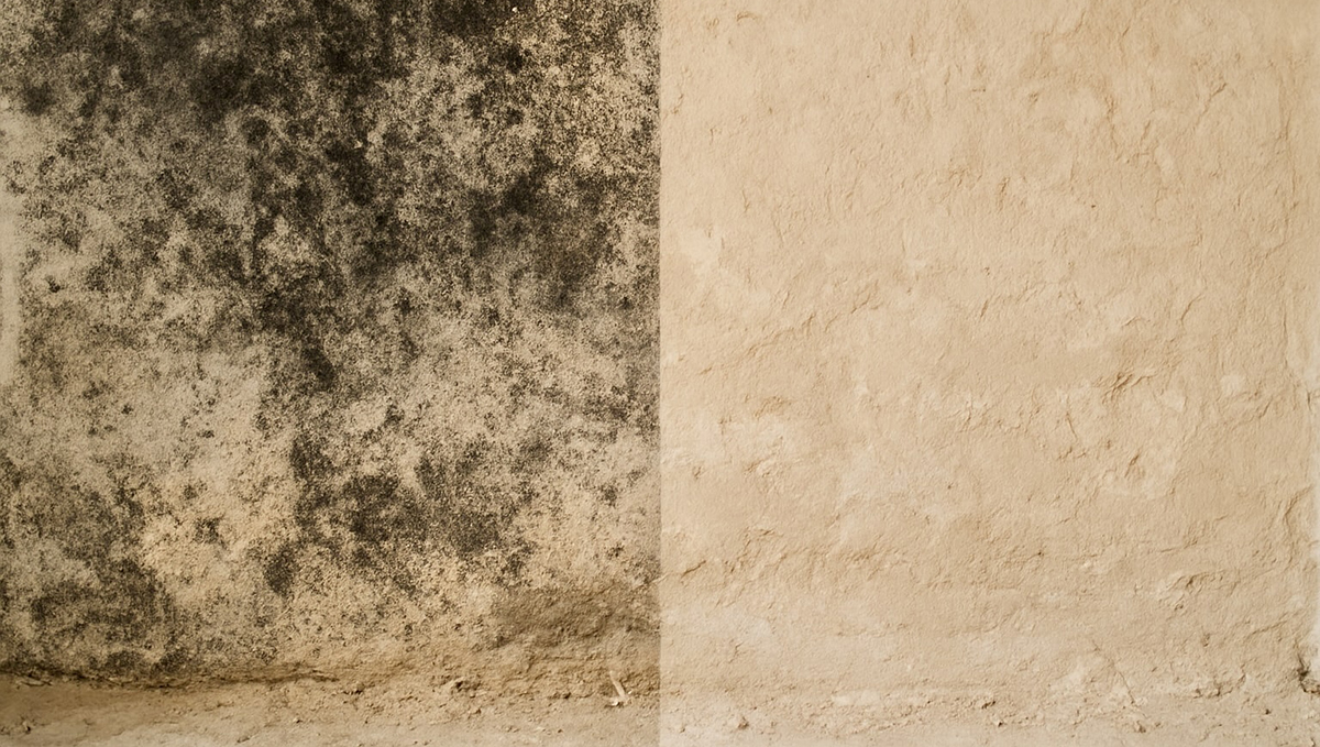 alphatechnologie-sachverstaendigen-und-ingenieurbuero-kleve-referenzen-fachgerechte-schimmel-sanierung-vorher-nachher-vergleich